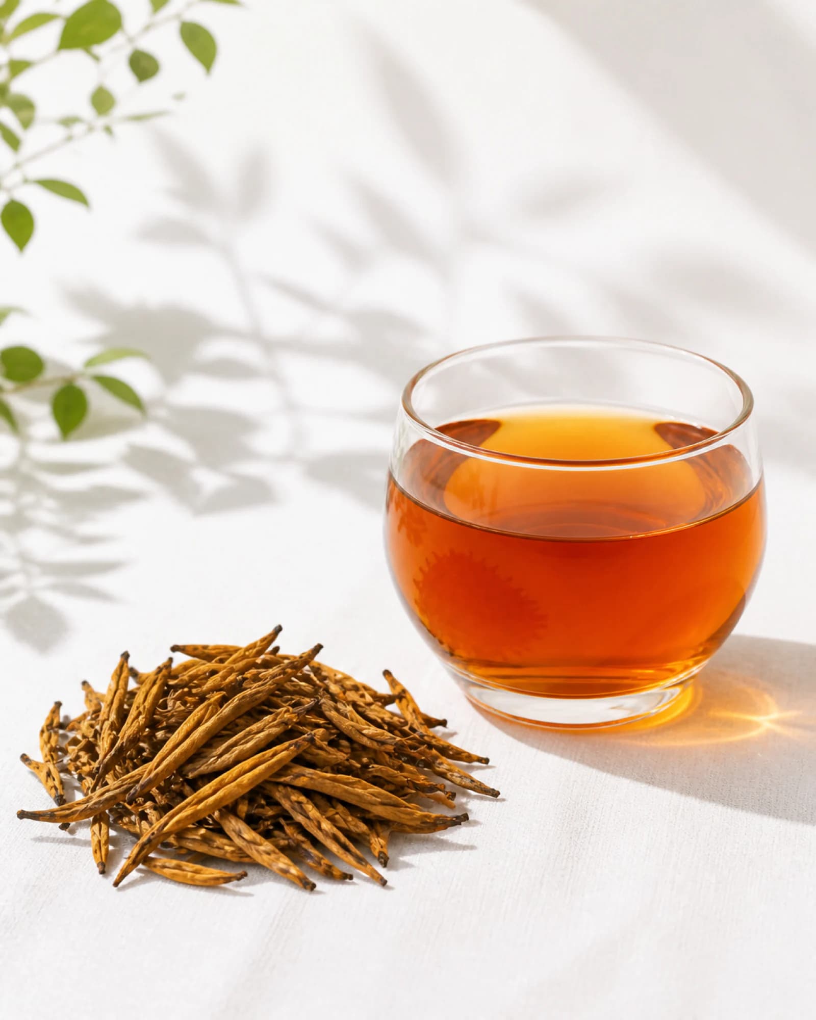 Yunnan Black tea path